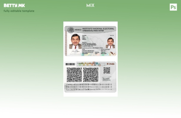 модерен стил Мексико институт национален изборен шаблон